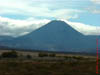 NZL-0218