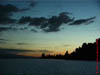 NZL-0231