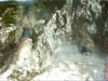 NZL-0235