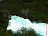 NZL-0237
