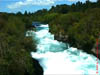NZL-0240