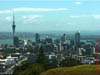 NZL-0249