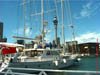 NZL-0250