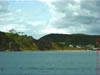 NZL-0257