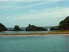 NZL-0260