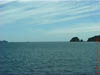 NZL-0262