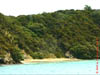 NZL-0263