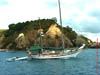 NZL-0264