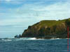 NZL-0265