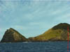 NZL-0266