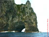 NZL-0267