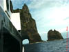 NZL-0269