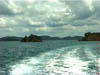 NZL-0271