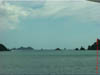 NZL-0272