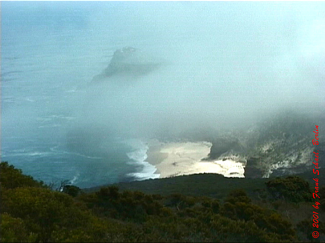 SA_0035